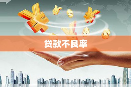 石岐贷款不良率