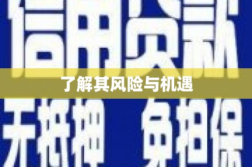 石岐了解其风险与机遇