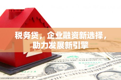 石岐税务贷，企业融资新选择，助力发展新引擎