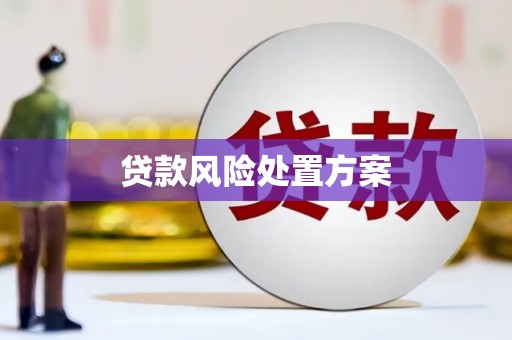 石岐贷款风险处置方案