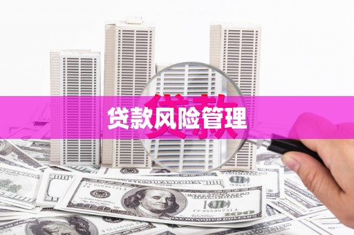 石岐贷款风险管理