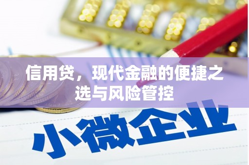 石岐信用贷，现代金融的便捷之选与风险管控