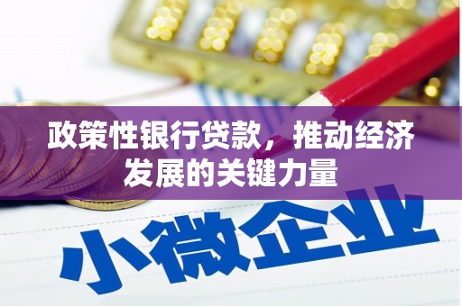 石岐政策性银行贷款，推动经济发展的关键力量