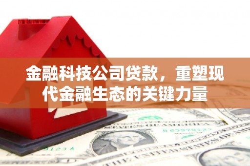 石岐金融科技公司贷款，重塑现代金融生态的关键力量