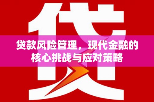 石岐贷款风险管理，现代金融的核心挑战与应对策略