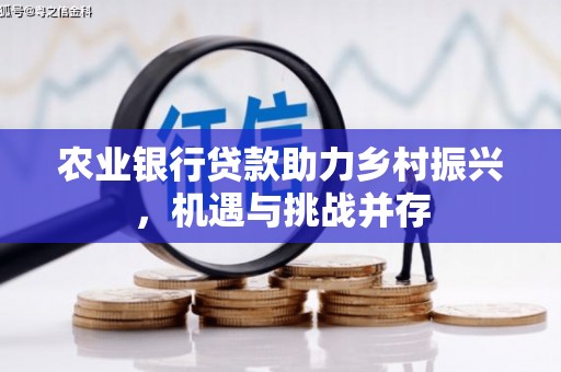 石岐农业银行贷款助力乡村振兴，机遇与挑战并存