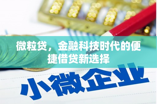 石岐微粒贷，金融科技时代的便捷借贷新选择
