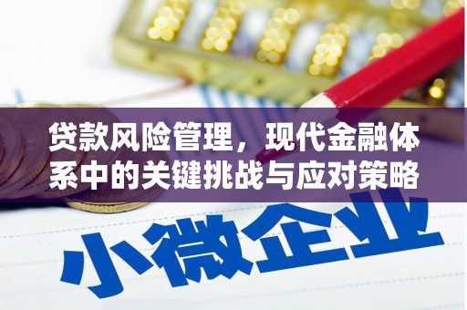 石岐贷款风险管理，现代金融体系中的关键挑战与应对策略