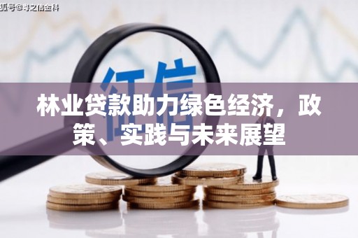 石岐林业贷款助力绿色经济，政策、实践与未来展望